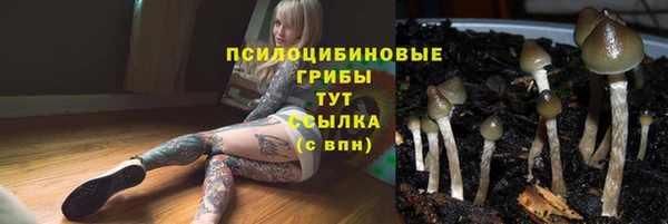 гашик Арсеньев