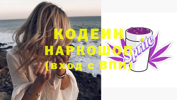 гашик Арсеньев